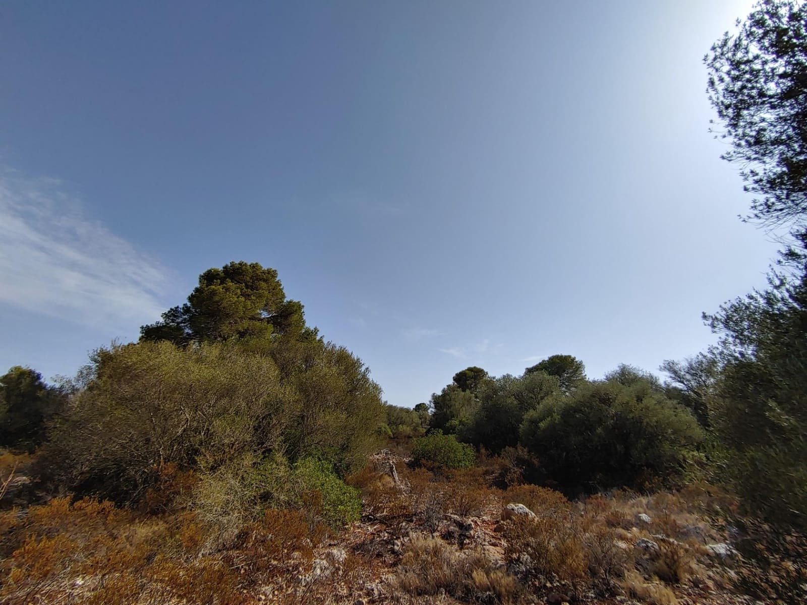 Bouwgrond te koop in Llucmajor - € 980.000 (Ref: 8491095)