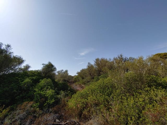 Building Plot for sale in Llucmajor - € 980,000 (Ref: 8491095)
