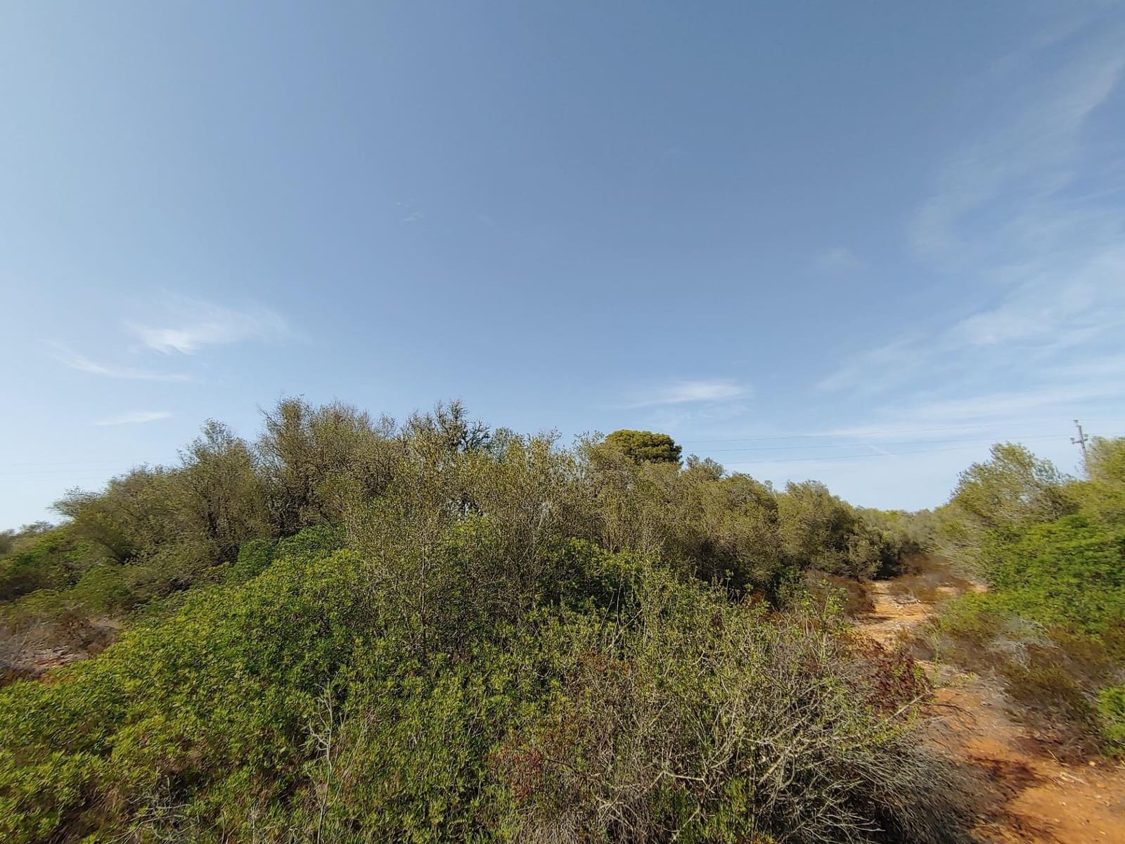 Bouwgrond te koop in Llucmajor - € 980.000 (Ref: 8491095)