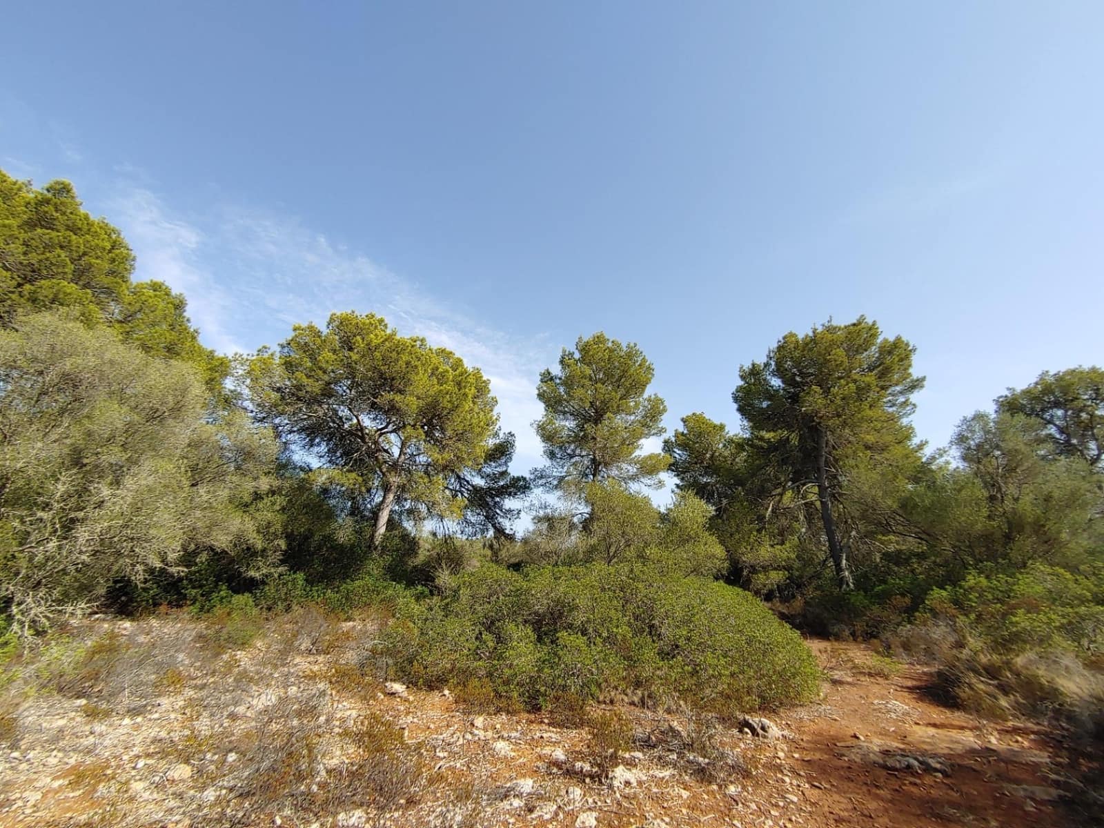 Bouwgrond te koop in Llucmajor - € 980.000 (Ref: 8491095)