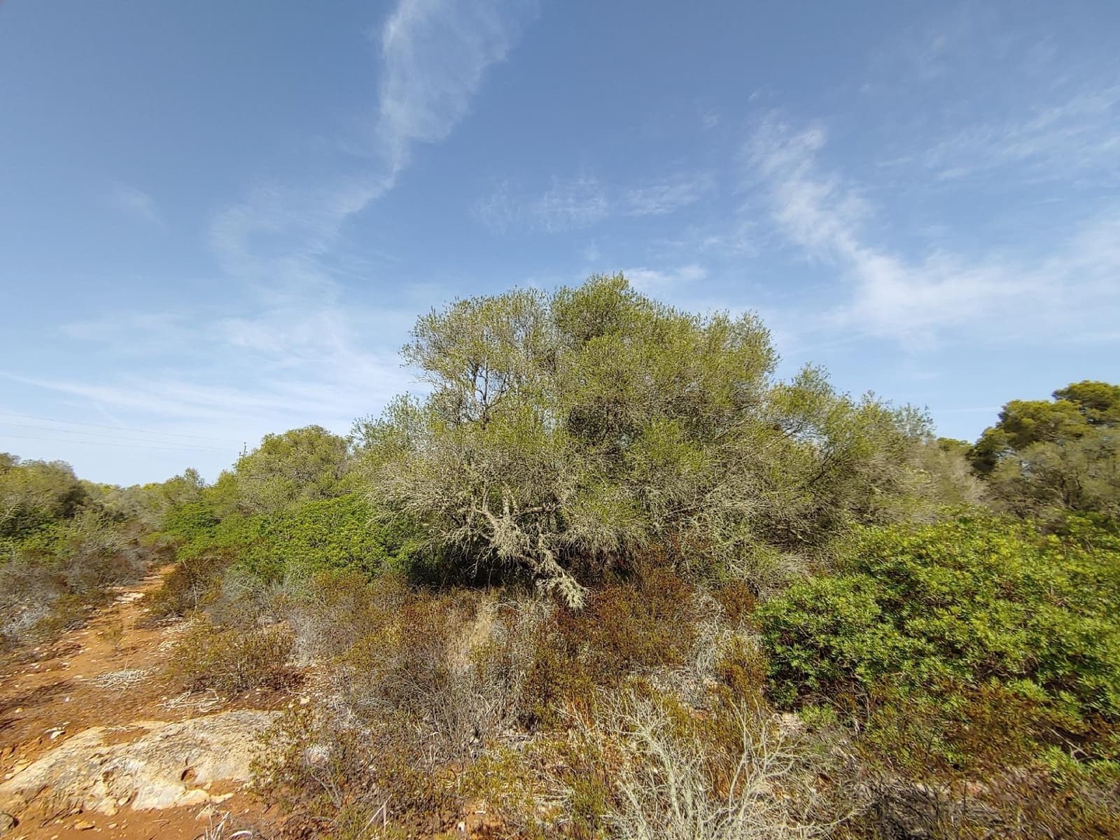 Bouwgrond te koop in Llucmajor - € 980.000 (Ref: 8491095)