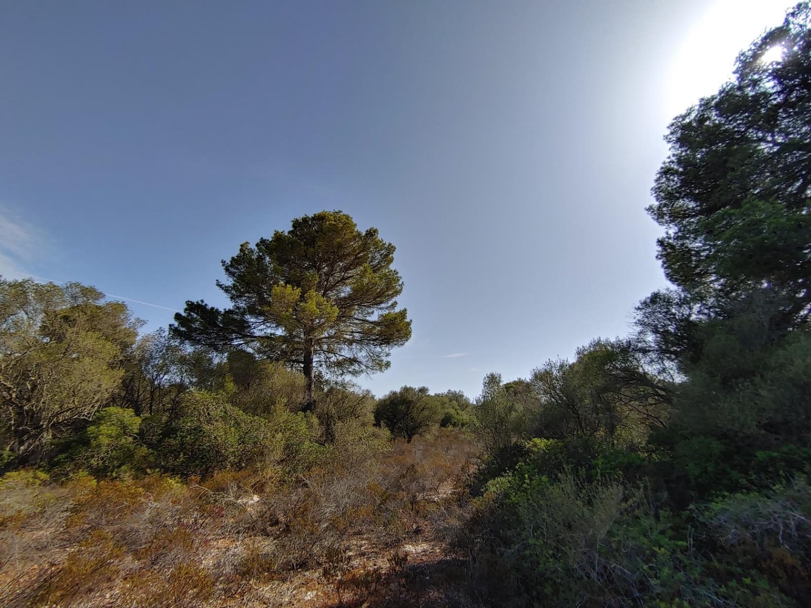 Bouwgrond te koop in Llucmajor - € 980.000 (Ref: 8491095)