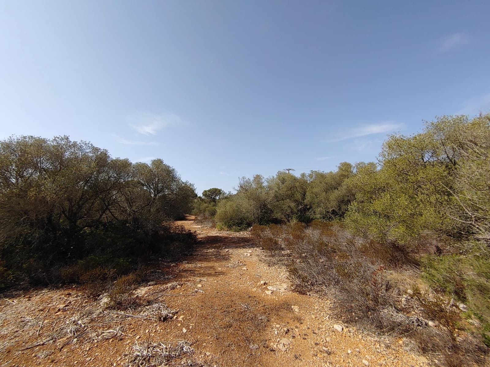 Bouwgrond te koop in Llucmajor - € 980.000 (Ref: 8491095)