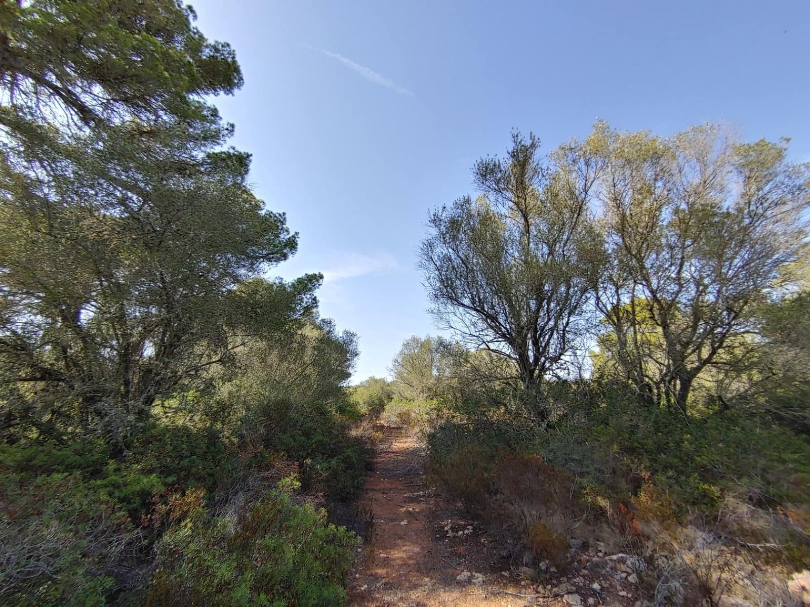 Bouwgrond te koop in Llucmajor - € 980.000 (Ref: 8491095)