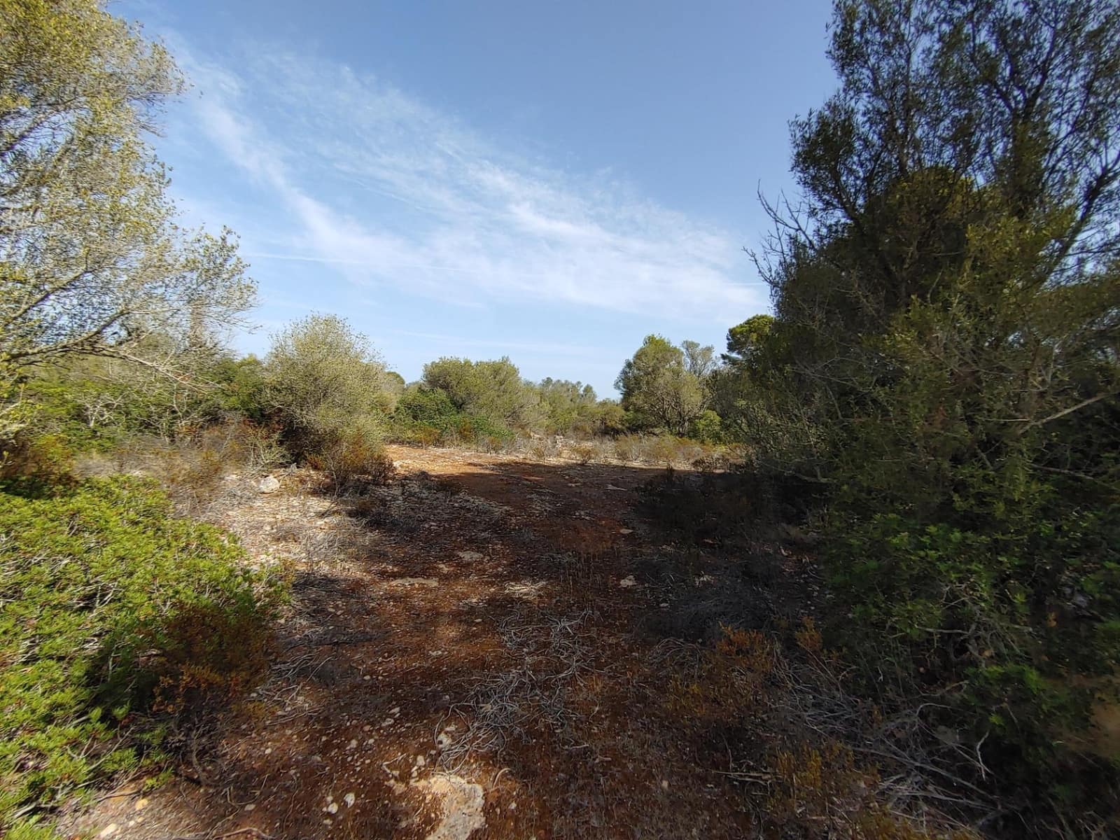 Bouwgrond te koop in Llucmajor - € 980.000 (Ref: 8491095)