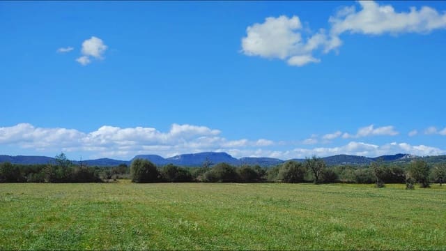 Tomt till salu i Campos - 260 000 € (Ref: 8531959)