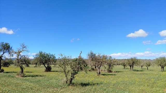 Tomt till salu i Campos - 260 000 € (Ref: 8531959)