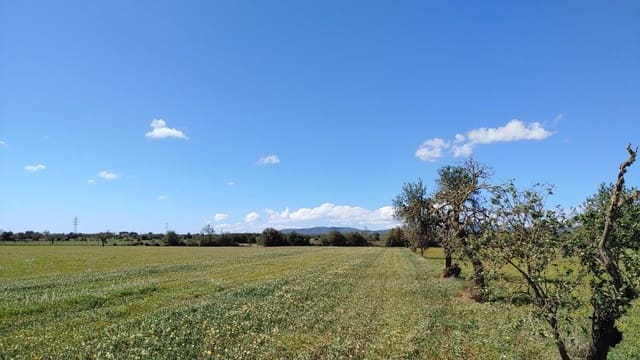 Tomt till salu i Campos - 260 000 € (Ref: 8531959)