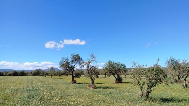 Działka budowlana na sprzedaż w Campos - 260 000 € (Ref: 8531959)