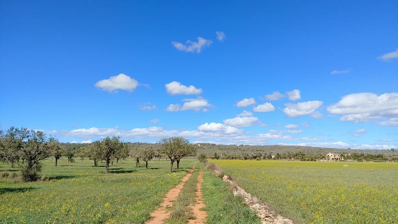 Terreno para Construção para venda em Campos - 260 000 € (Ref: 8531959)