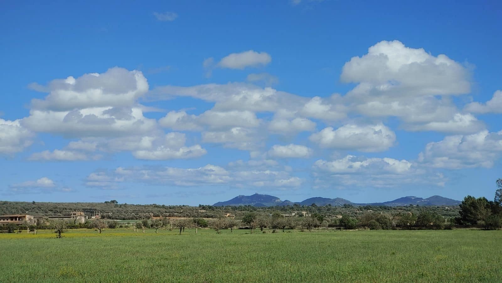 Terreno para Construção para venda em Campos - 260 000 € (Ref: 8531959)