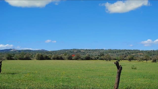 Działka budowlana na sprzedaż w Campos - 260 000 € (Ref: 8531959)