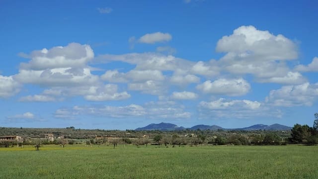 Działka budowlana na sprzedaż w Campos - 260 000 € (Ref: 8531959)