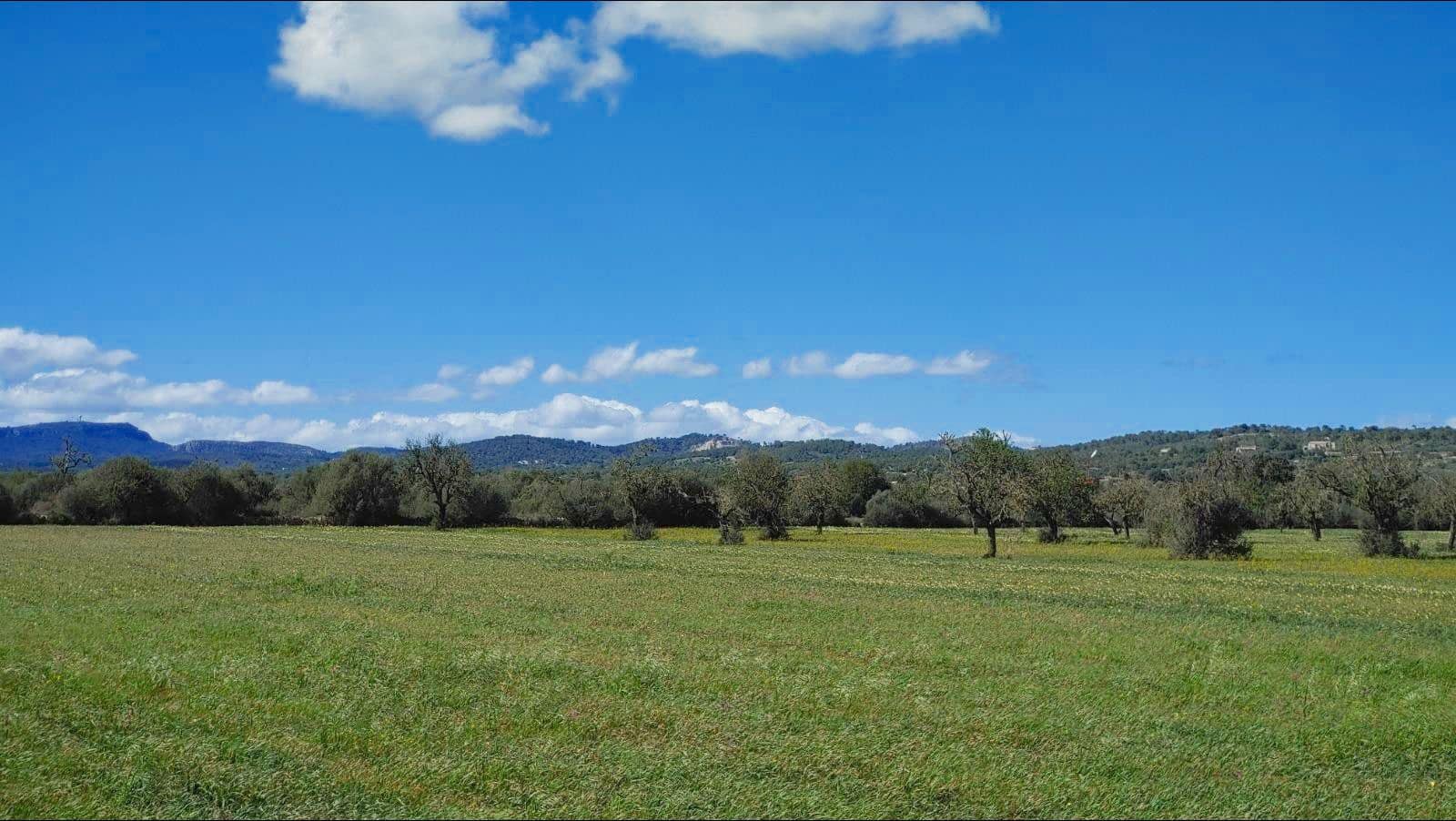 Terreno para Construção para venda em Campos - 260 000 € (Ref: 8531959)