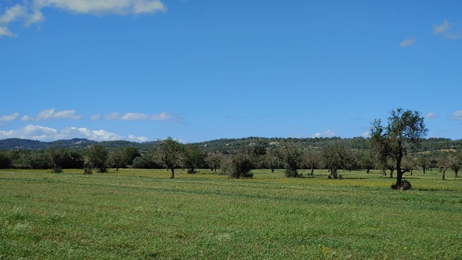Terreno para Construção para venda em Campos - 260 000 € (Ref: 8531959)