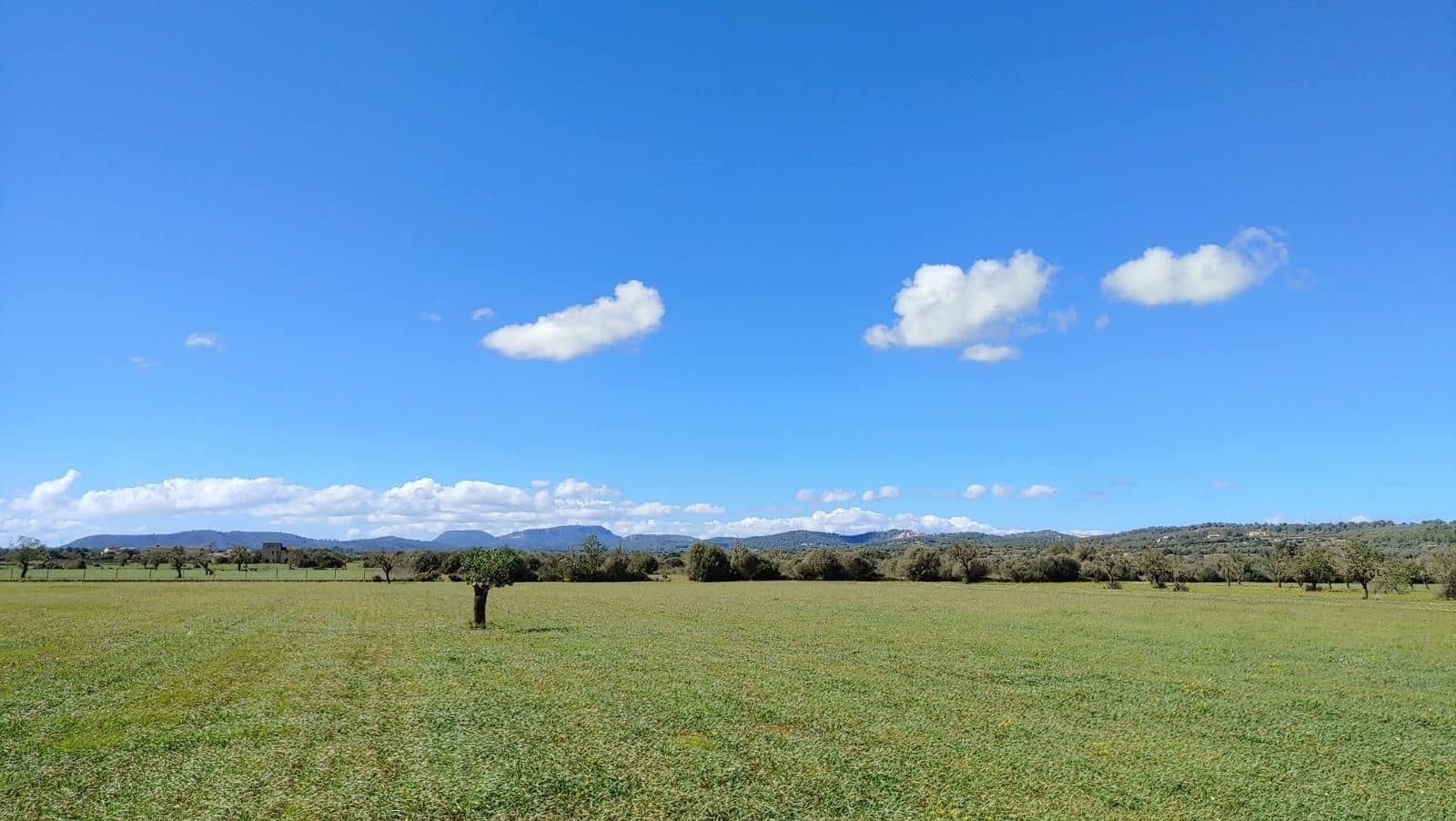 Terreno para Construção para venda em Campos - 260 000 € (Ref: 8531959)