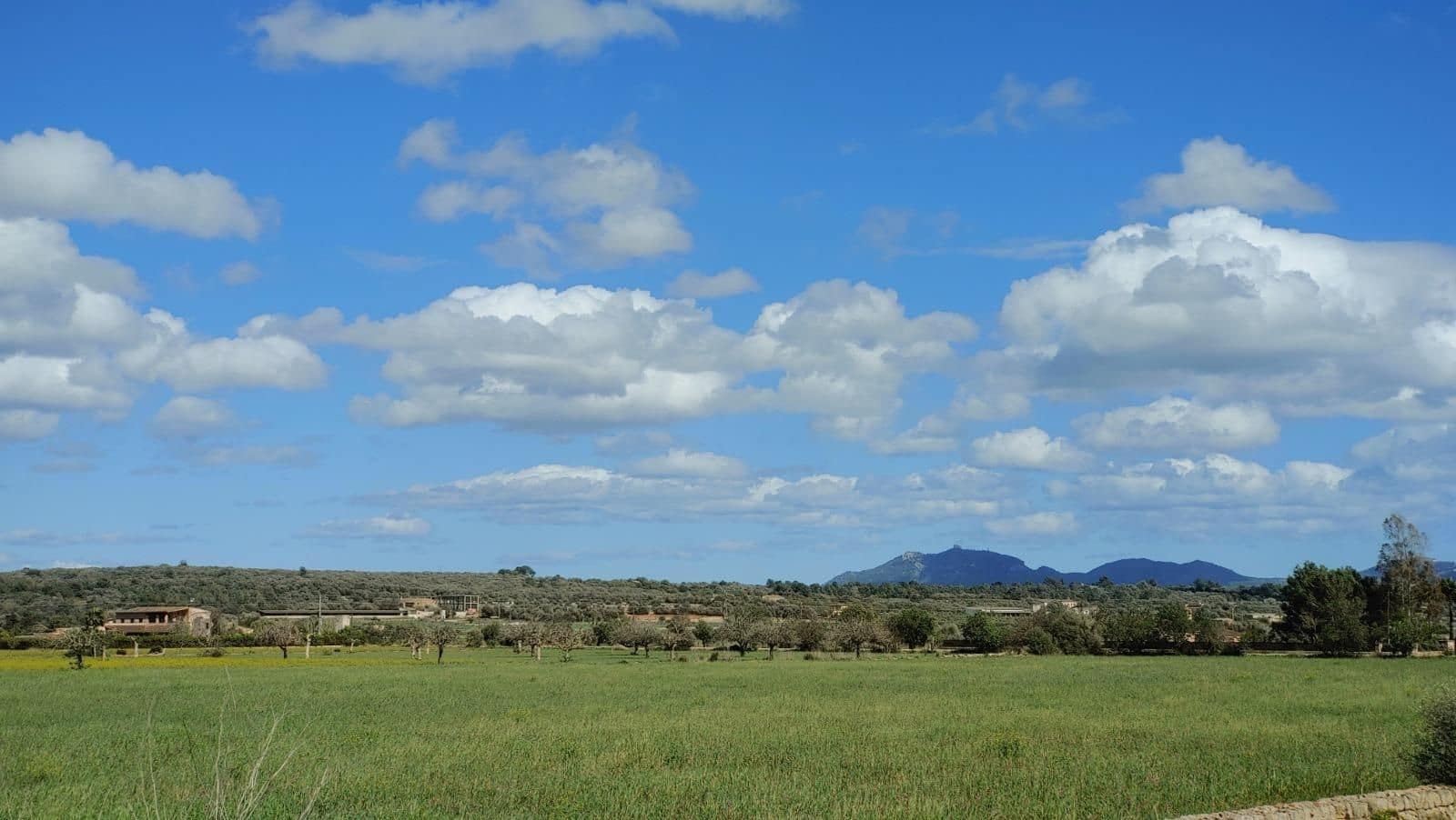 Terreno para Construção para venda em Campos - 260 000 € (Ref: 8531959)