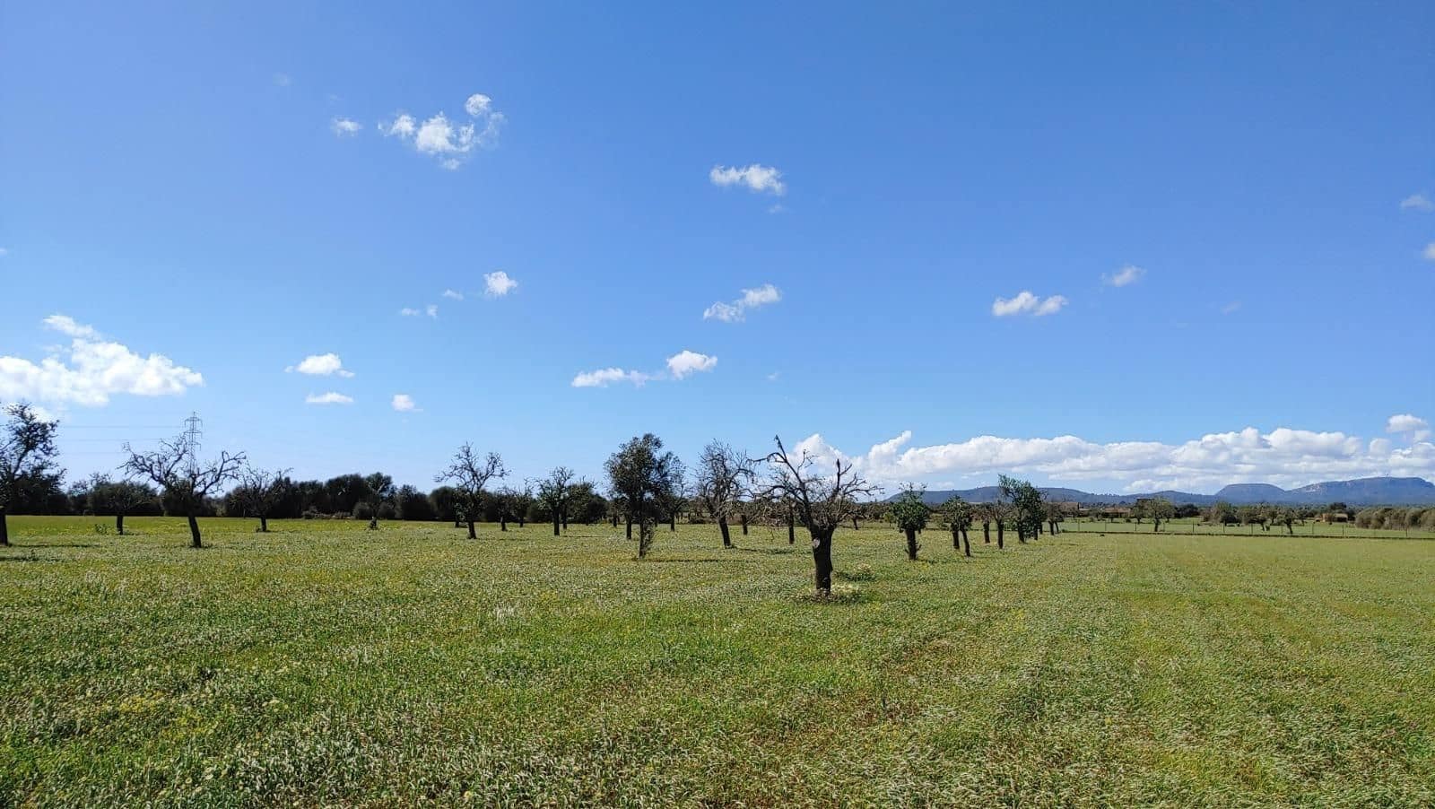 Terreno para Construção para venda em Campos - 260 000 € (Ref: 8531959)