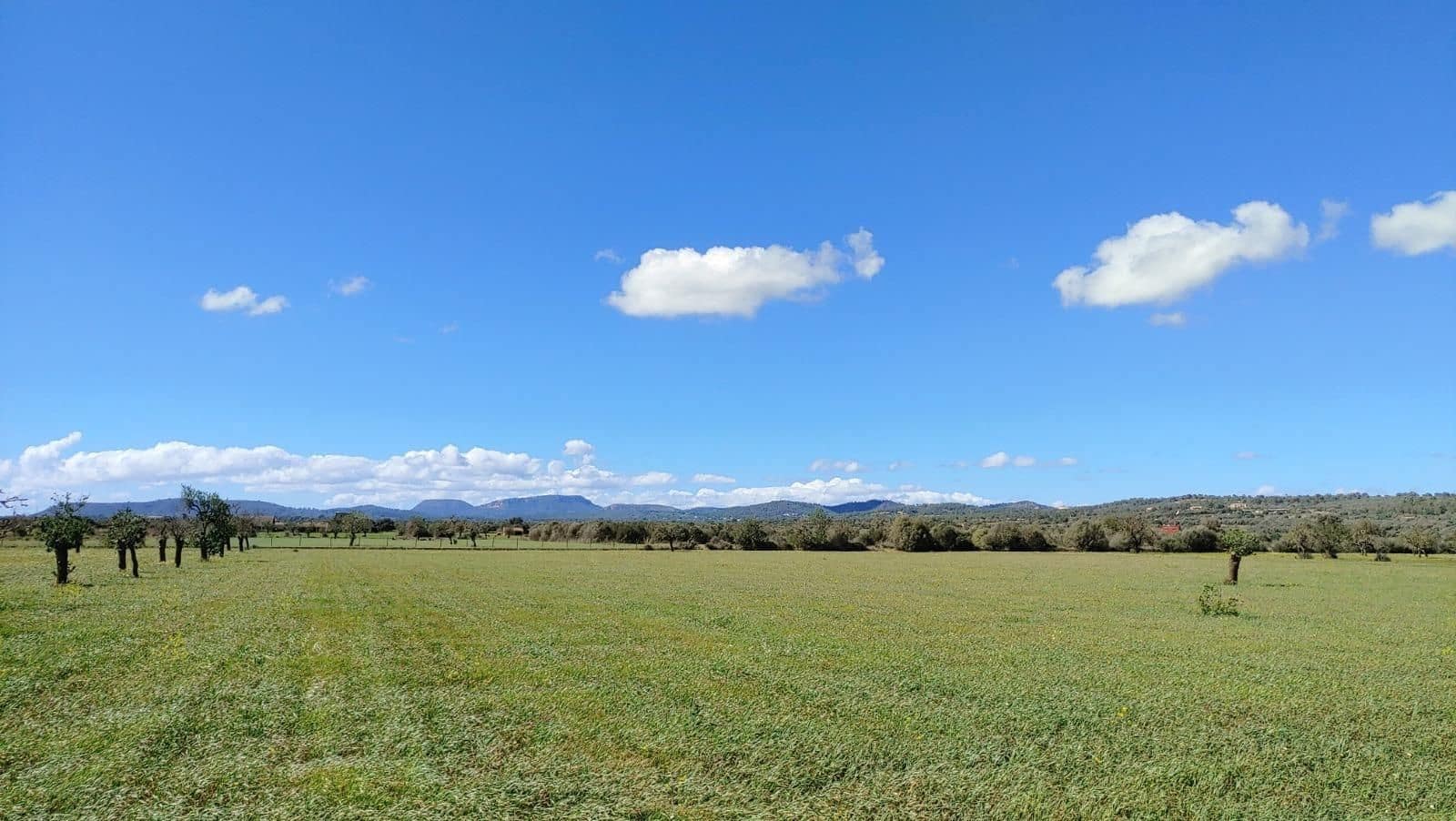 Terreno para Construção para venda em Campos - 260 000 € (Ref: 8531959)