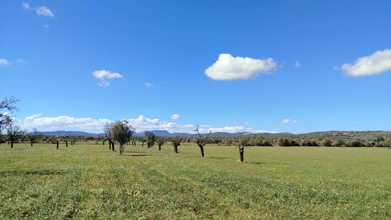 Terreno para Construção para venda em Campos - 260 000 € (Ref: 8531959)