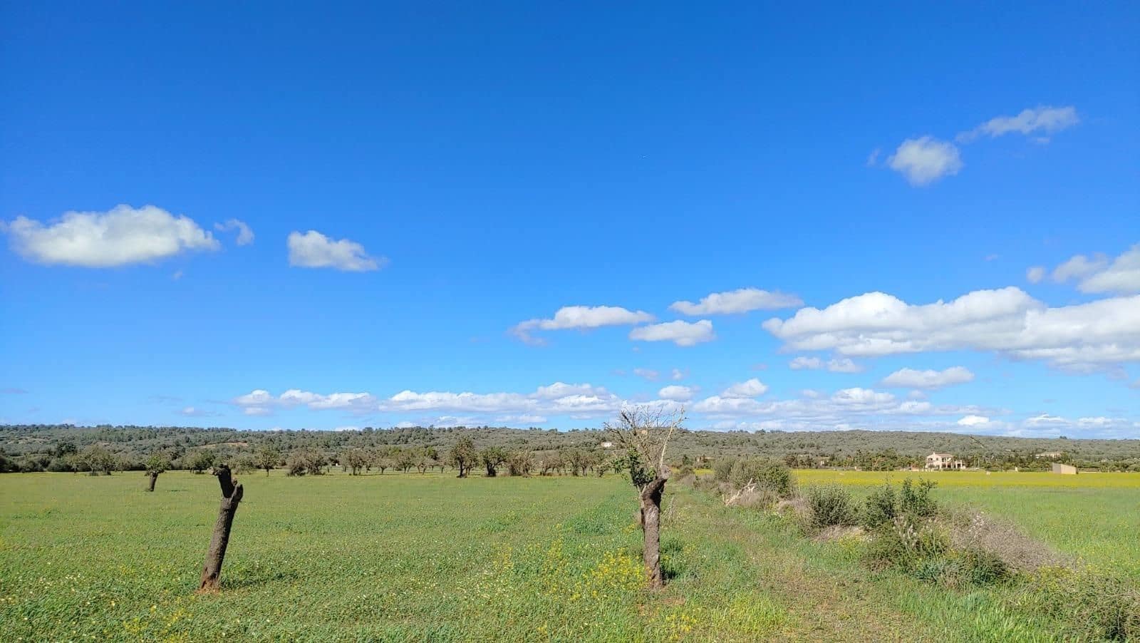 Terreno para Construção para venda em Campos - 260 000 € (Ref: 8531959)
