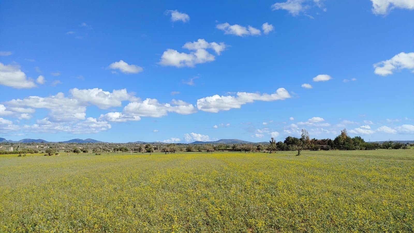Terreno para Construção para venda em Campos - 260 000 € (Ref: 8531959)