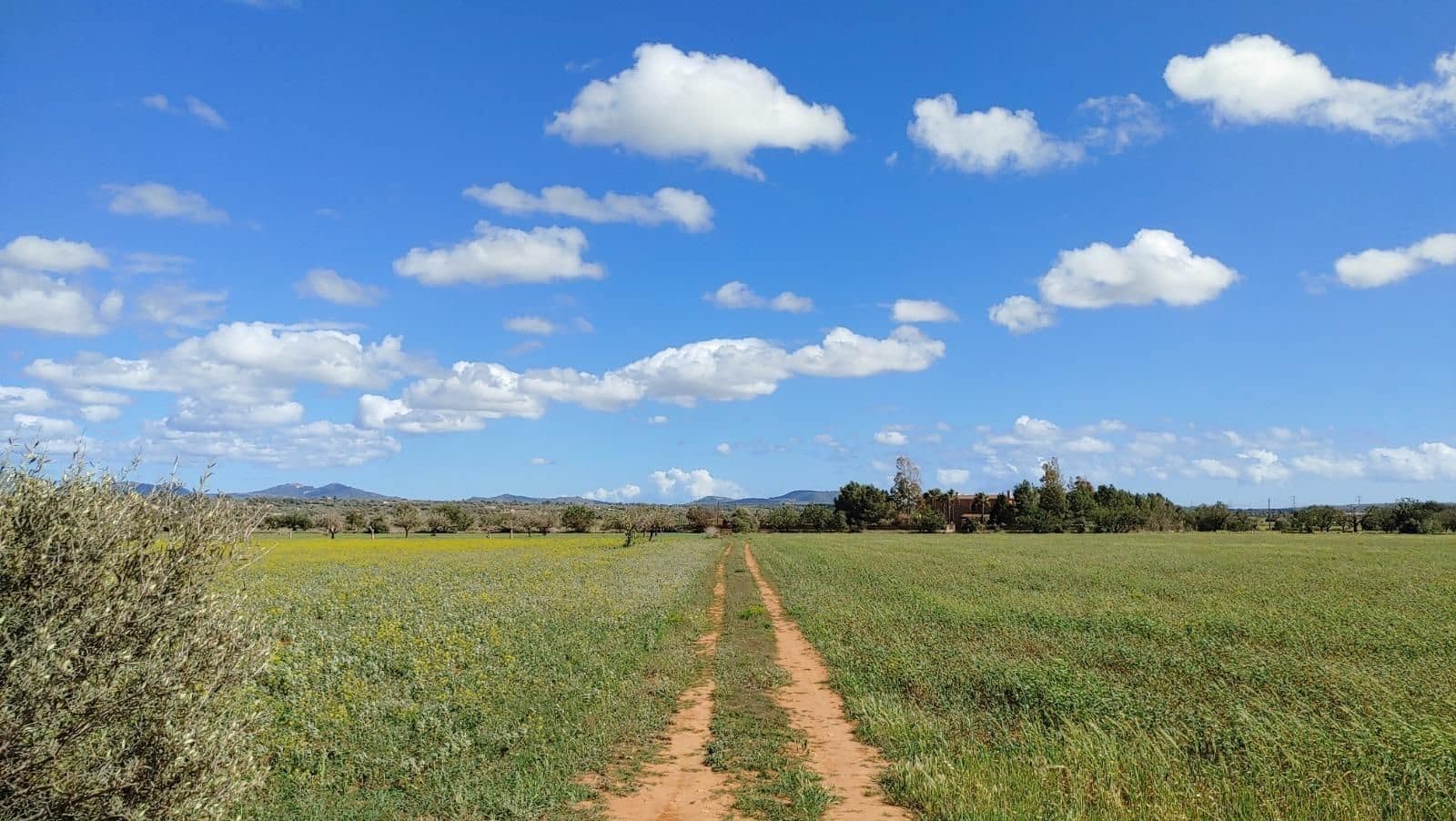 Terreno para Construção para venda em Campos - 260 000 € (Ref: 8531959)