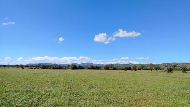 Działka budowlana na sprzedaż w Campos - 260 000 € (Ref: 8531959)