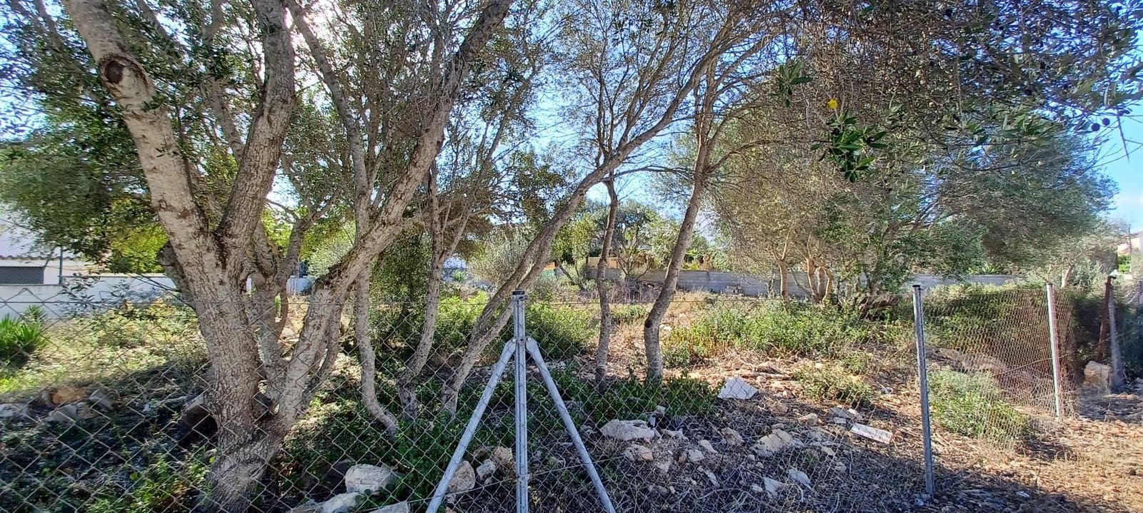 Building Plot for sale in Llucmajor - € 450,000 (Ref: 8582500)