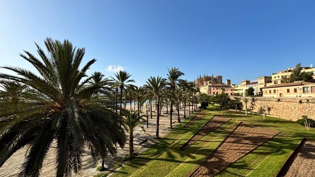 Piso de 1 habitación en Palma de Mallorca en venta - 390.000 € (Ref: 8645311)