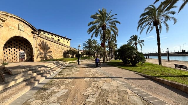 Piso de 1 habitación en Palma de Mallorca en venta - 390.000 € (Ref: 8645311)