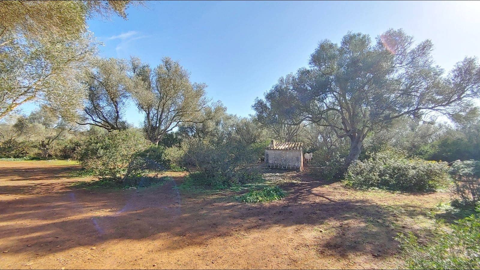 Bouwgrond te koop in Felanitx - € 790.000 (Ref: 8781619)