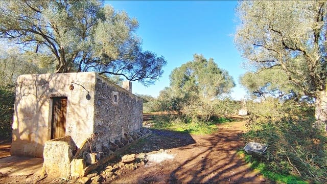 Bouwgrond te koop in Felanitx - € 790.000 (Ref: 8781619)