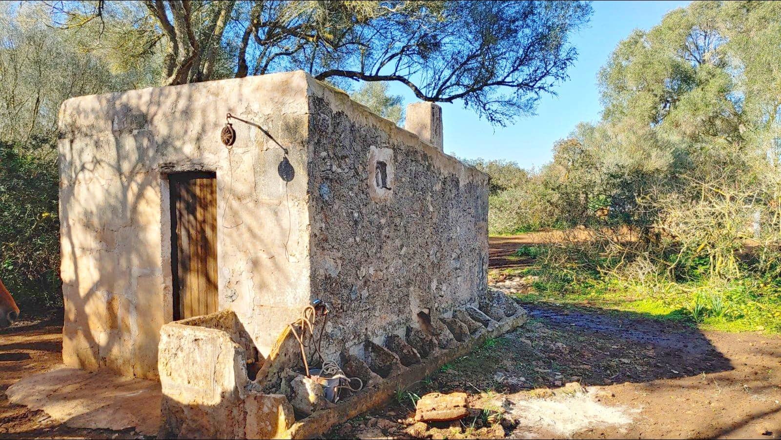 Bouwgrond te koop in Felanitx - € 790.000 (Ref: 8781619)