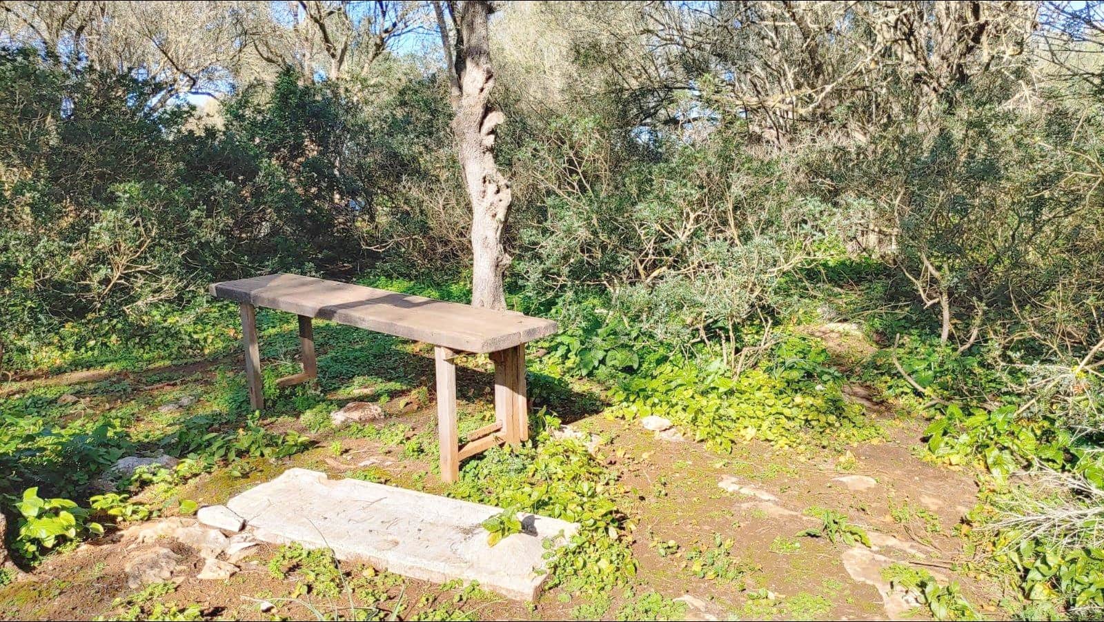 Bouwgrond te koop in Felanitx - € 790.000 (Ref: 8781619)