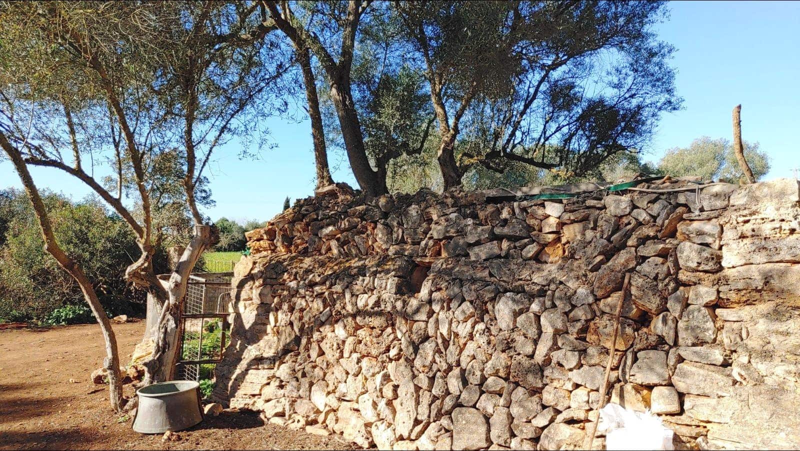 Bouwgrond te koop in Felanitx - € 790.000 (Ref: 8781619)