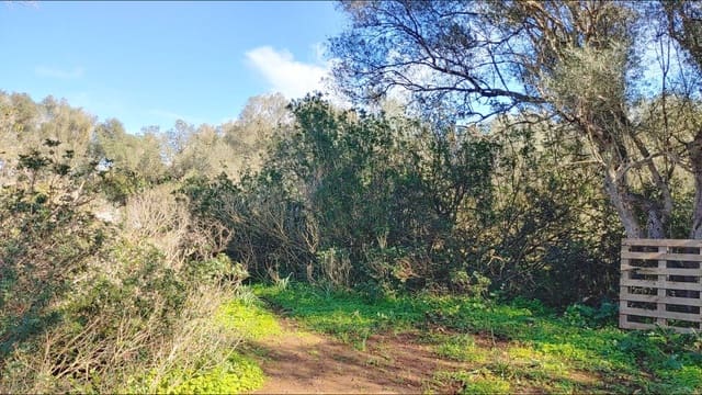 Bouwgrond te koop in Felanitx - € 790.000 (Ref: 8781619)