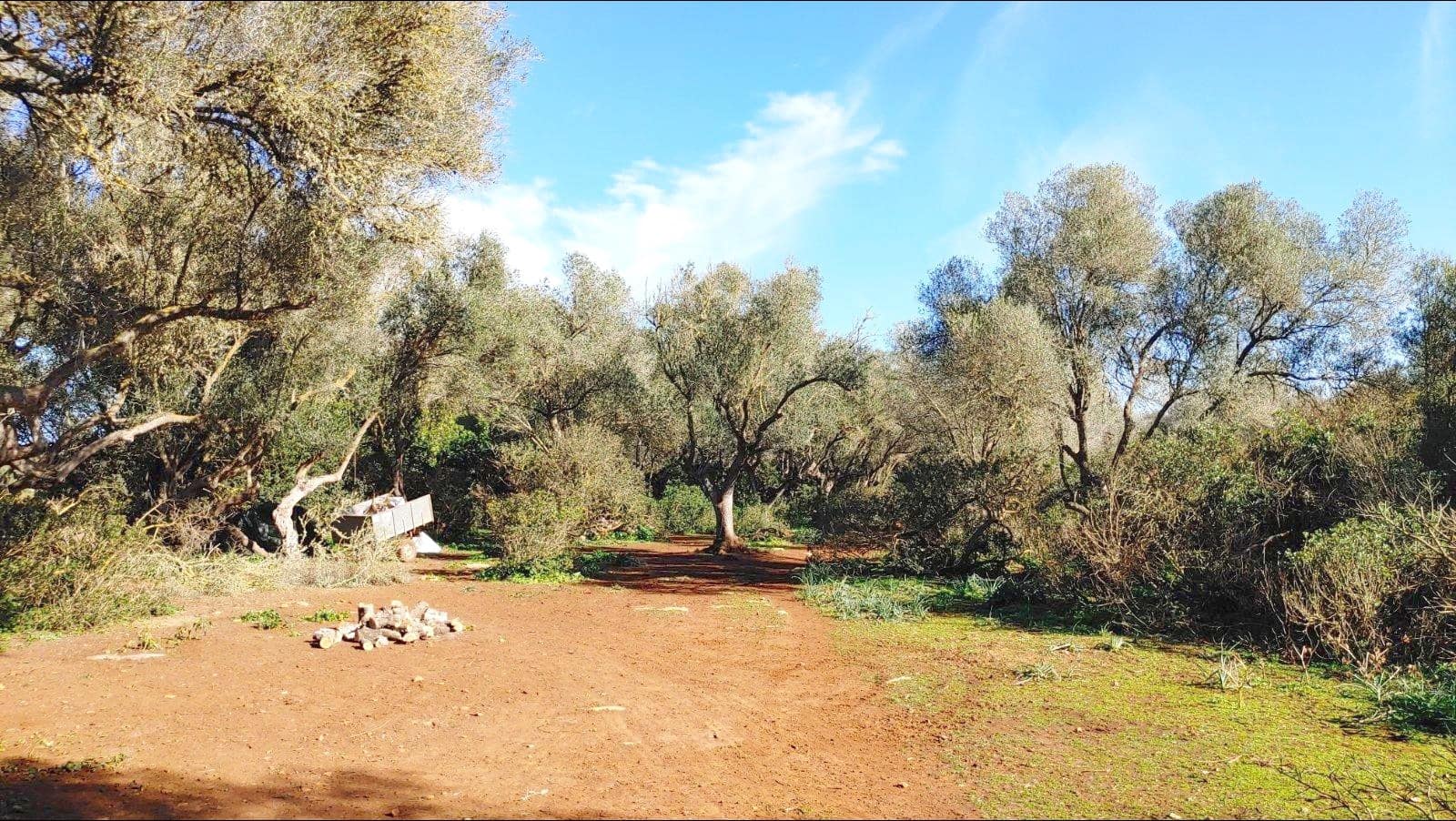 Bouwgrond te koop in Felanitx - € 790.000 (Ref: 8781619)