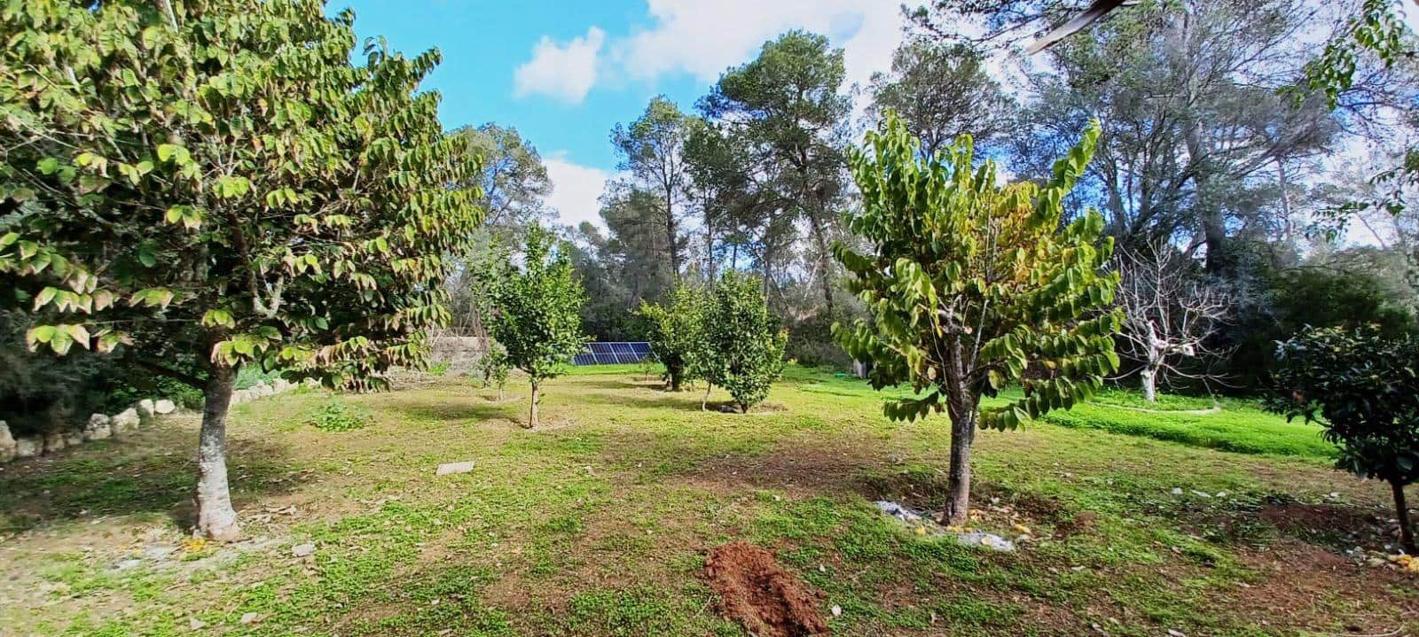 3 soverom Finca/Herregård til salgs i Sencelles med svømmebasseng garasje - € 655 000 (Ref: 8825108)