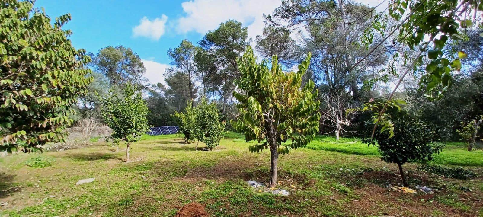 3 bedroom Finca/Country House for sale in Sencelles with pool garage - € 655,000 (Ref: 8825108)