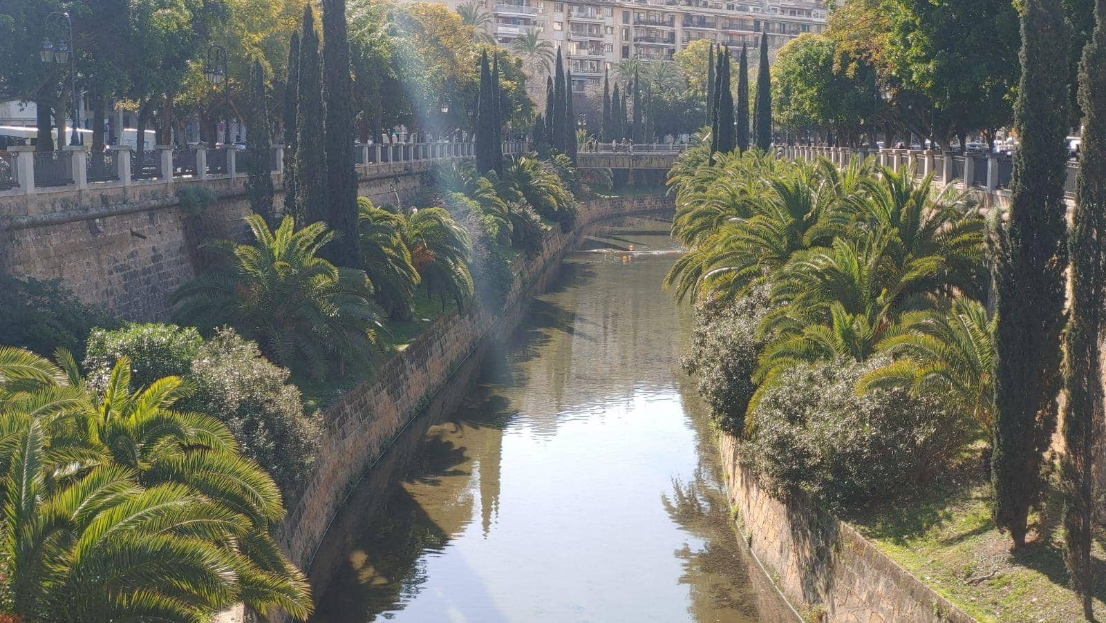 Kaupallinen myytävänä paikassa Palma de Mallorca - 500 000 € (Ref: 8888519)