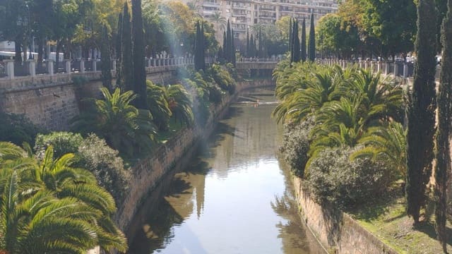 Kaupallinen myytävänä paikassa Palma de Mallorca - 360 000 € (Ref: 8888520)