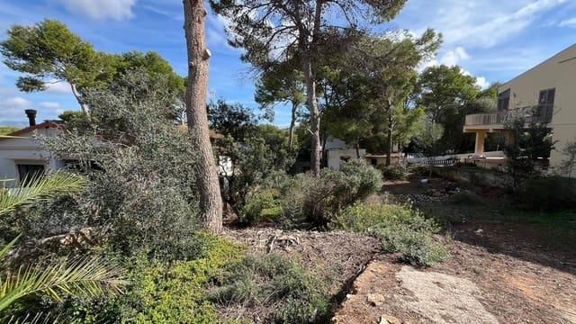 Bauplatz zu verkaufen in El Toro / Port Adriano, Calvià - 498.000 € (Ref: 8905332)