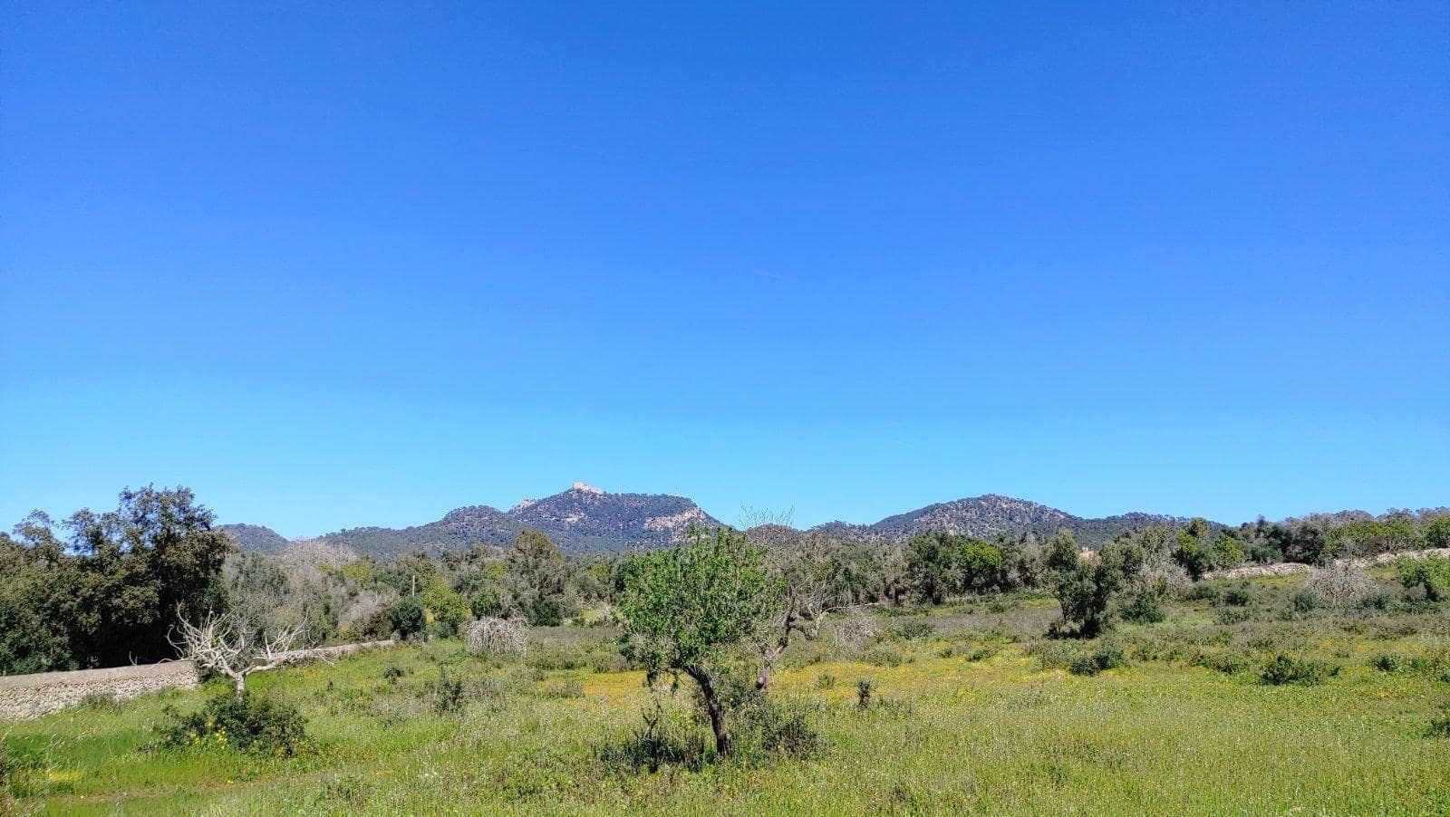 Byggetomt til salgs i Felanitx - € 590 000 (Ref: 8913012)