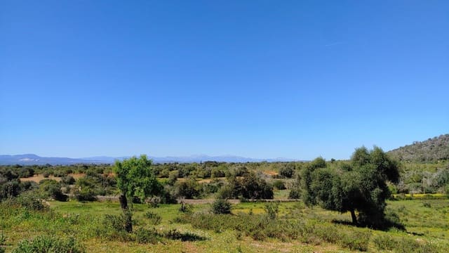 Building Plot for sale in Felanitx - € 590,000 (Ref: 8913012)