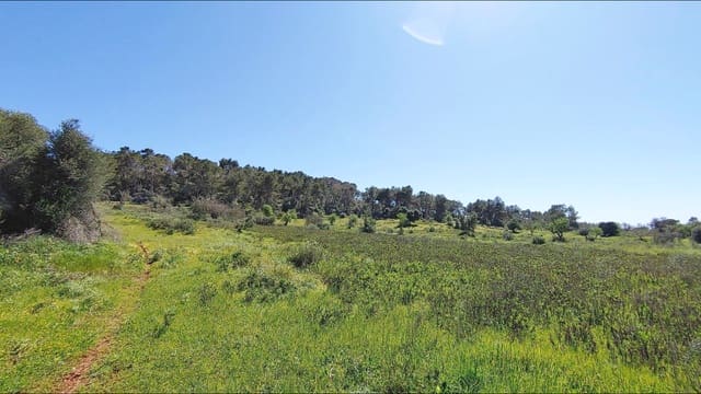 Building Plot for sale in Felanitx - € 590,000 (Ref: 8913012)
