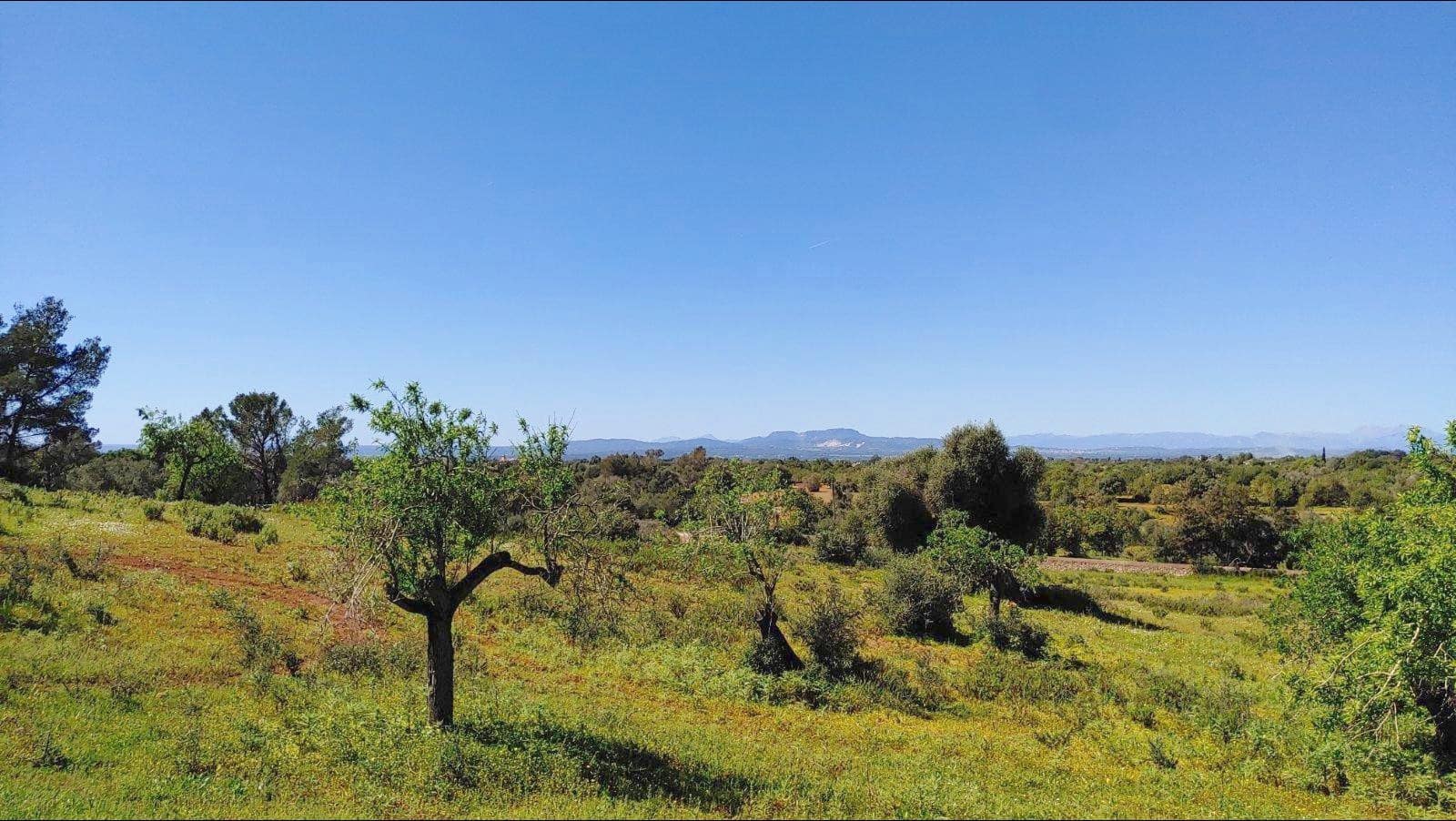 Byggetomt til salgs i Felanitx - € 590 000 (Ref: 8913012)