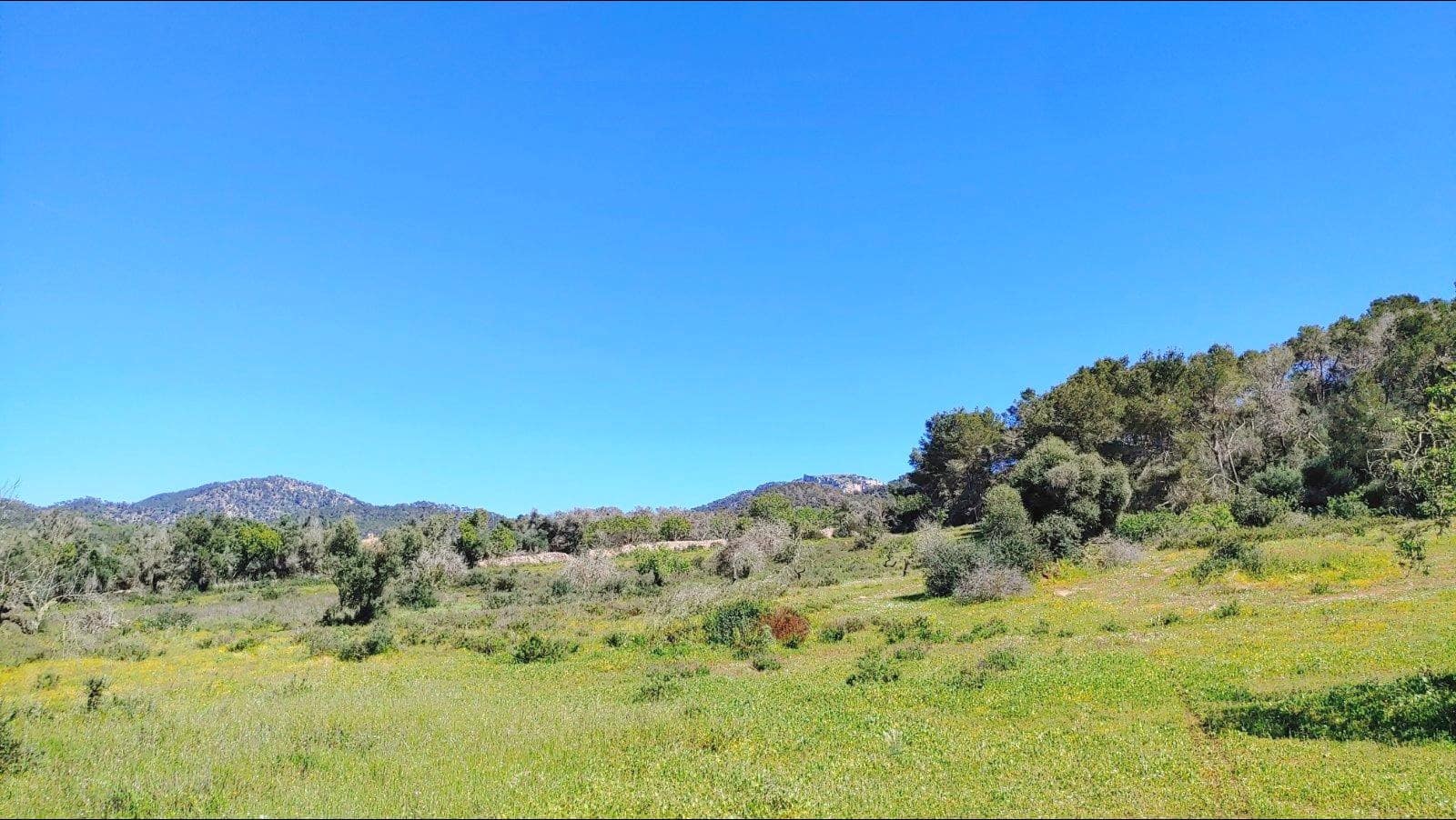 Byggetomt til salgs i Felanitx - € 590 000 (Ref: 8913012)