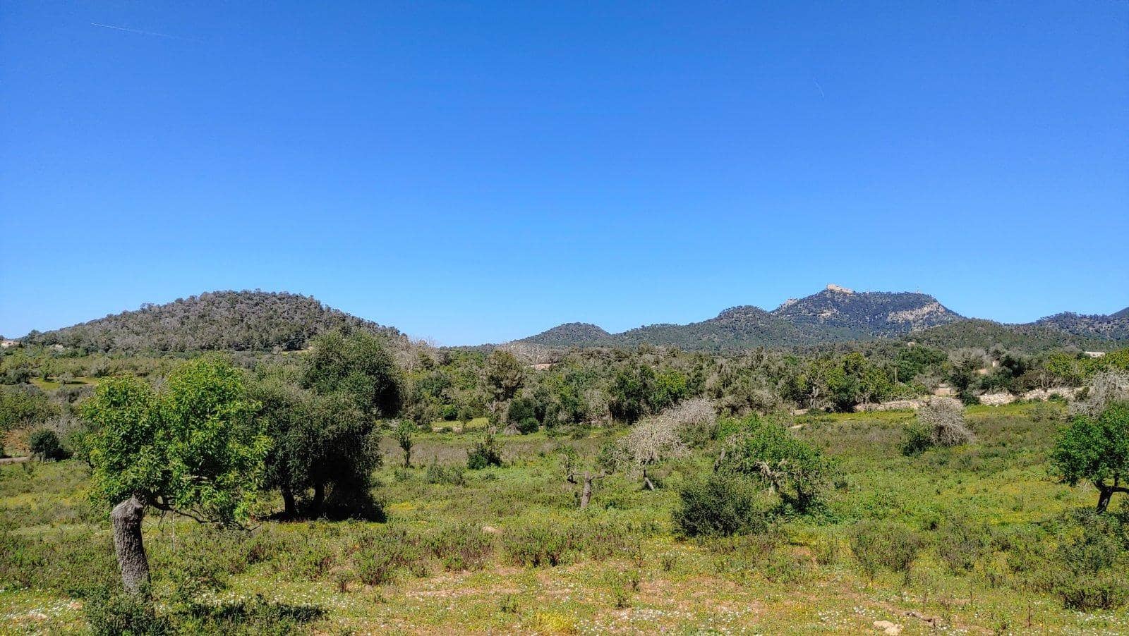 Byggetomt til salgs i Felanitx - € 590 000 (Ref: 8913012)