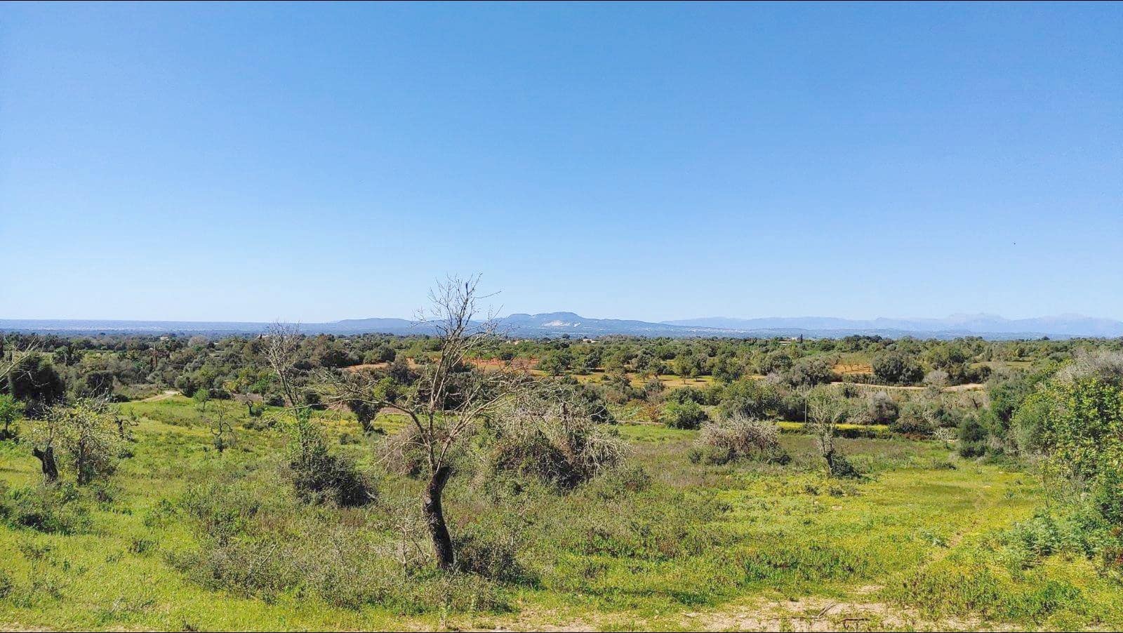 Byggetomt til salgs i Felanitx - € 590 000 (Ref: 8913012)